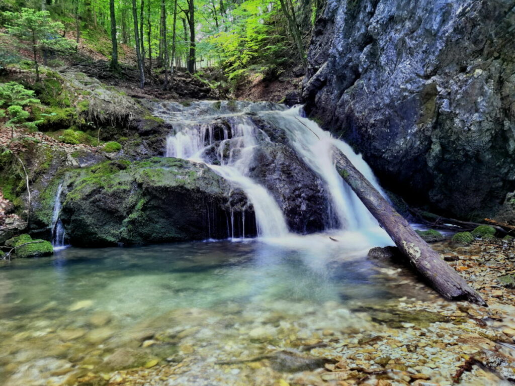 Erlebe die wildromantische Josefsthaler Wasserfälle Wanderung 
