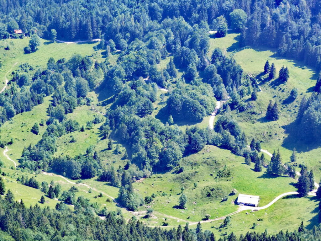 Über die Forstwege verläuft die Josefsthaler Wasserfälle Rundwanderung auf dem Almgelände der Stockeralm