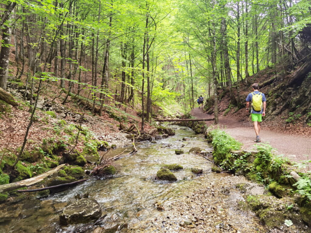 Josefsthaler Wasserfälle Wanderung - wildromantisch geht es am Bach entlang zu den meterhohen Wasserfällen am Schliersee