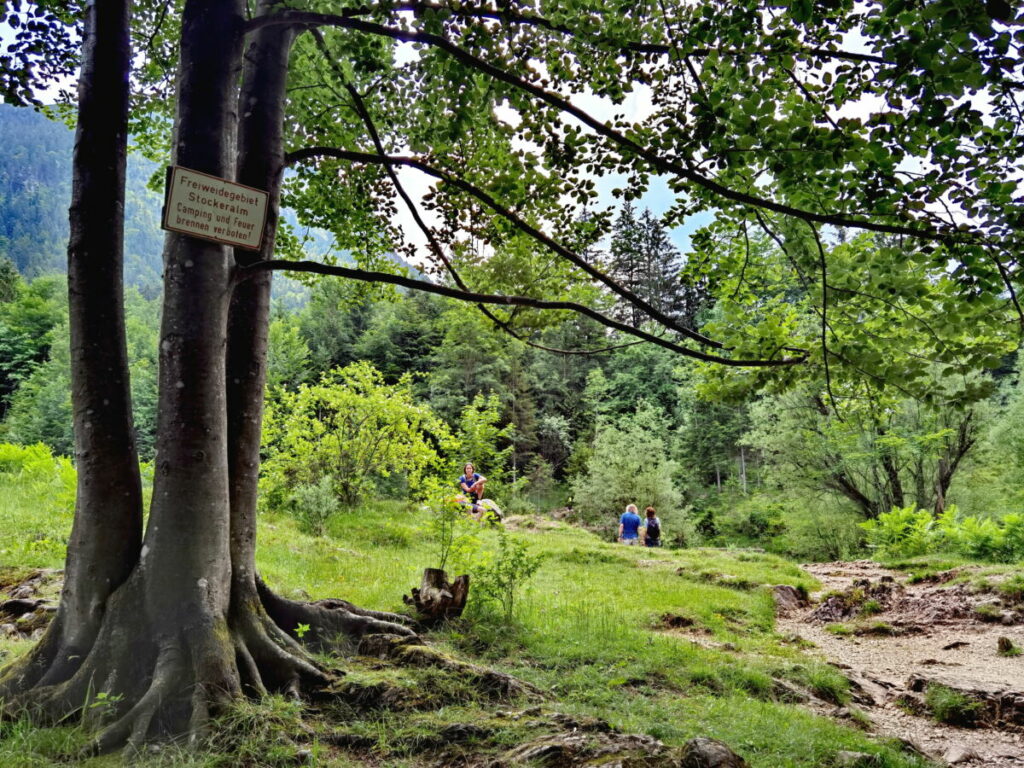 Josefsthaler Wasserfälle Wanderung - Rundwanderung über die Stockeralm