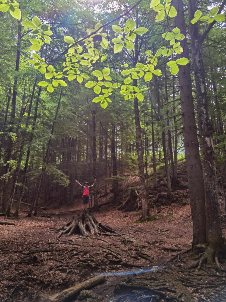 Josefsthaler Wasserfälle wandern mit Kindern